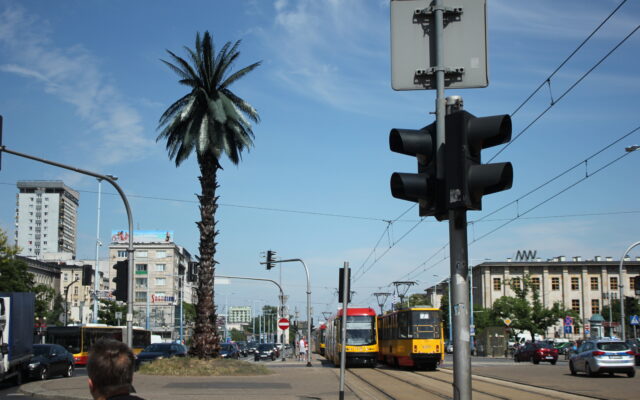 Palma Warszawa (1)