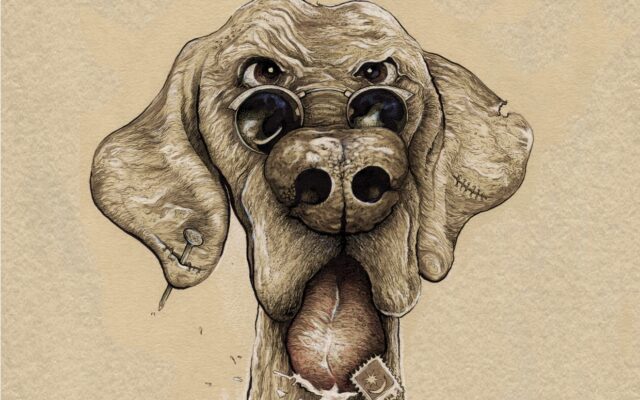 pies mazowiecki Muzyczne IQ