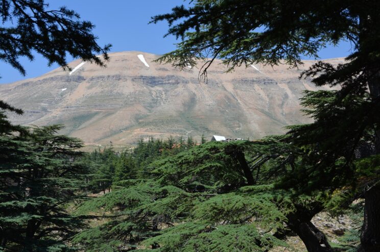 Liban fot. Adam Rosłoniec