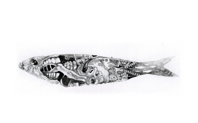 Nie ma fal Muzyczne IQ