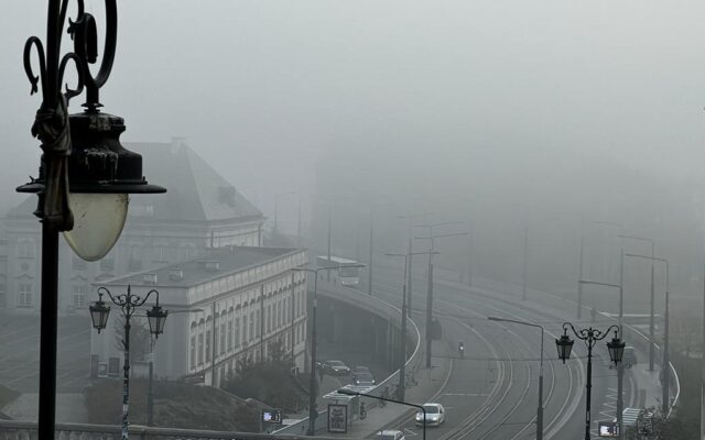 Poranek Wnet, 08:02 | fot. Krzysztof Skowroński