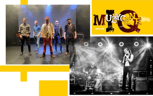 podcast iq podcast iq