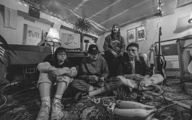 Fonogon Muzyczne IQ Fonogon Muzyczne IQ