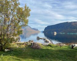 Wyspa Uloya/ fot. Małgorzata Kleszcz