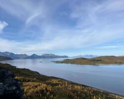 Uloya/ fot. Małgorzata Kleszcz