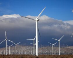 fot. Eric Wilde/ Wikimedia Commons, CC BY-SA 2.0